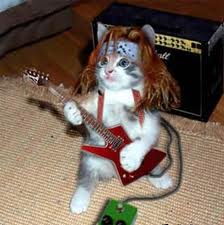 Cat Guitarest